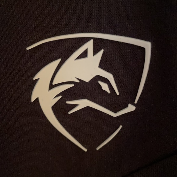 MENS ALPHALETE SHORTS - Picture 2 of 8